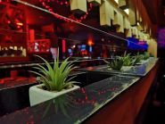 Orange Bar, бар фото