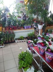 Цветочный магазин на Богоявленская фото