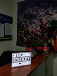 Langoo, курси іноземних мов фото