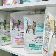 ZooHub, зоомагазин фото