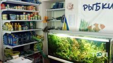 Магазин з акваріумістики, акваріуми і комплектуючі до них на просп. Перемоги фото