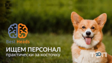 Best Heads, рекрутинговое агентство фото