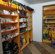 Айболит, ветеринарная клиника фото