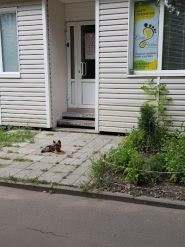 Harlen, центр подології фото