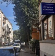 Софора фото