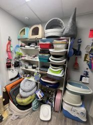 King 👑 Zoo, зоомагазин фото