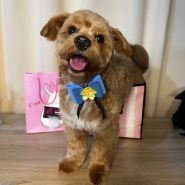 Kittibarbershop, грумінг-салон фото