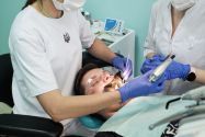 Зубра, стоматолог фото