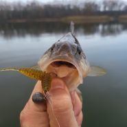 Все для риболовлі, торговий центр фото