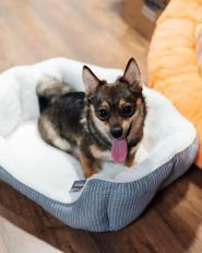 Smart Zoo, зоомагазин фото