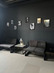 1493, барбершоп фото