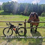 Giant, велоцентр фото