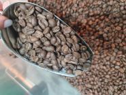 Coffeetest, постачальник кавових зерен фото