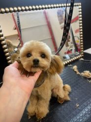 Зоологія, мережа зоомагазинів фото