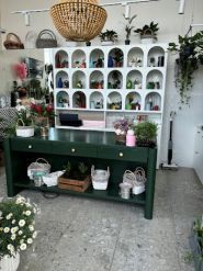 OLO, бутик растений, цветов и декора фото