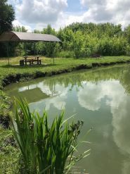 Четыре сезона, гостевой двор фото