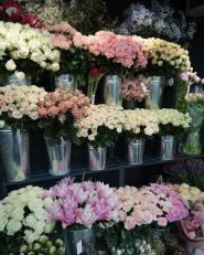 OLO, бутик  рослин, квітів та декору фото