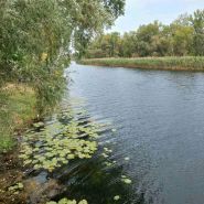 Четыре сезона, гостевой двор фото