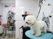 Sobaken grooming studio, салон краси фото