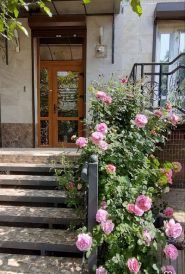 Аврора, студия стоматологии фото