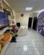 CoolPet, грумінг-салон фото