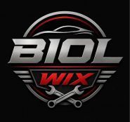 BIOL wix, замена смазочных масел, автосервис фото