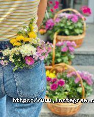 Send Flowers, доставка цветов фото