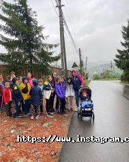 Дзюдо Майстер, спортивна секція фото