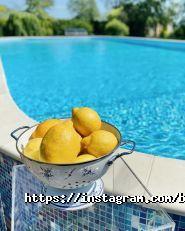 Byketik.com, служба доставки квітів фото