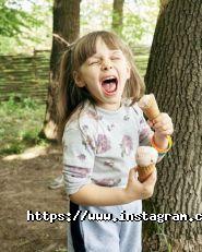 Gelato, інтернет-магазин крафтового морозива фото