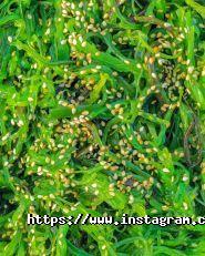 Сушія, ресторан сучасної японської кухні фото