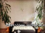 Verbum, бюро перекладів фото