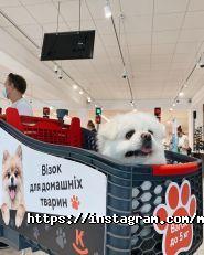 Класс, мережа супермаркетів фото