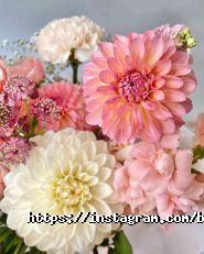 Byketik.com, служба доставки квітів фото