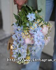 Alinayur tattoo, тату салон фото