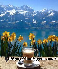 Сovim-Caffe, кав'ярня фото