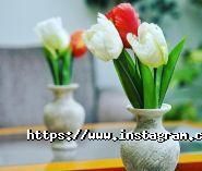 Mercury, готель фото