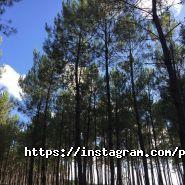 Paspartu travel, туристична агенція фото