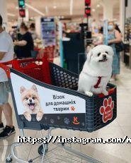 Класс, мережа супермаркетів фото