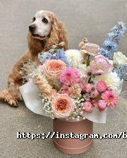 Byketik.com, служба доставки квітів фото