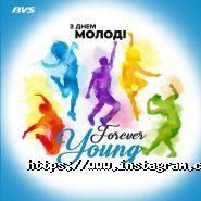 BVS, мережа автозаправних станцій фото