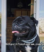 Луч кава, кафе фото