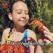 Клешняки, магазин раків фото