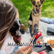 Watatsumi, доставка суши фото