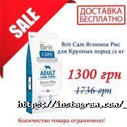 Pets-friends, зоомагазин фото
