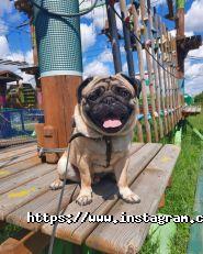 Активна Країна, мотузковий парк фото