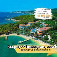 Кот в Полет, туристическое агентство фото