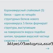 ИНВИТРО, сеть медицинских лабораторий фото