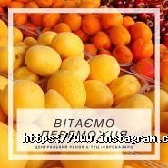 Карусель, сімейний парк розваг фото