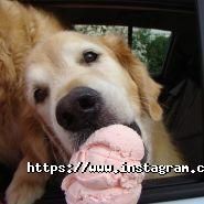 Немо, зоомагазин фото